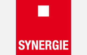 OFFRE EMPLOI SYNERGIE 